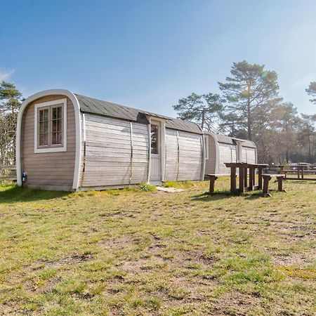 Naturcamping Lueneburger Heide - Chalets & Tiny Haeuser Soltau Zewnętrze zdjęcie