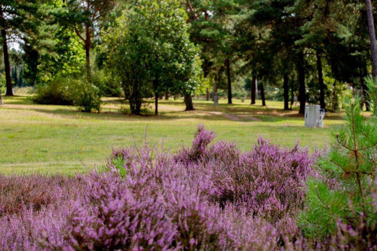 Naturcamping Lueneburger Heide - Chalets & Tiny Haeuser Soltau Zewnętrze zdjęcie