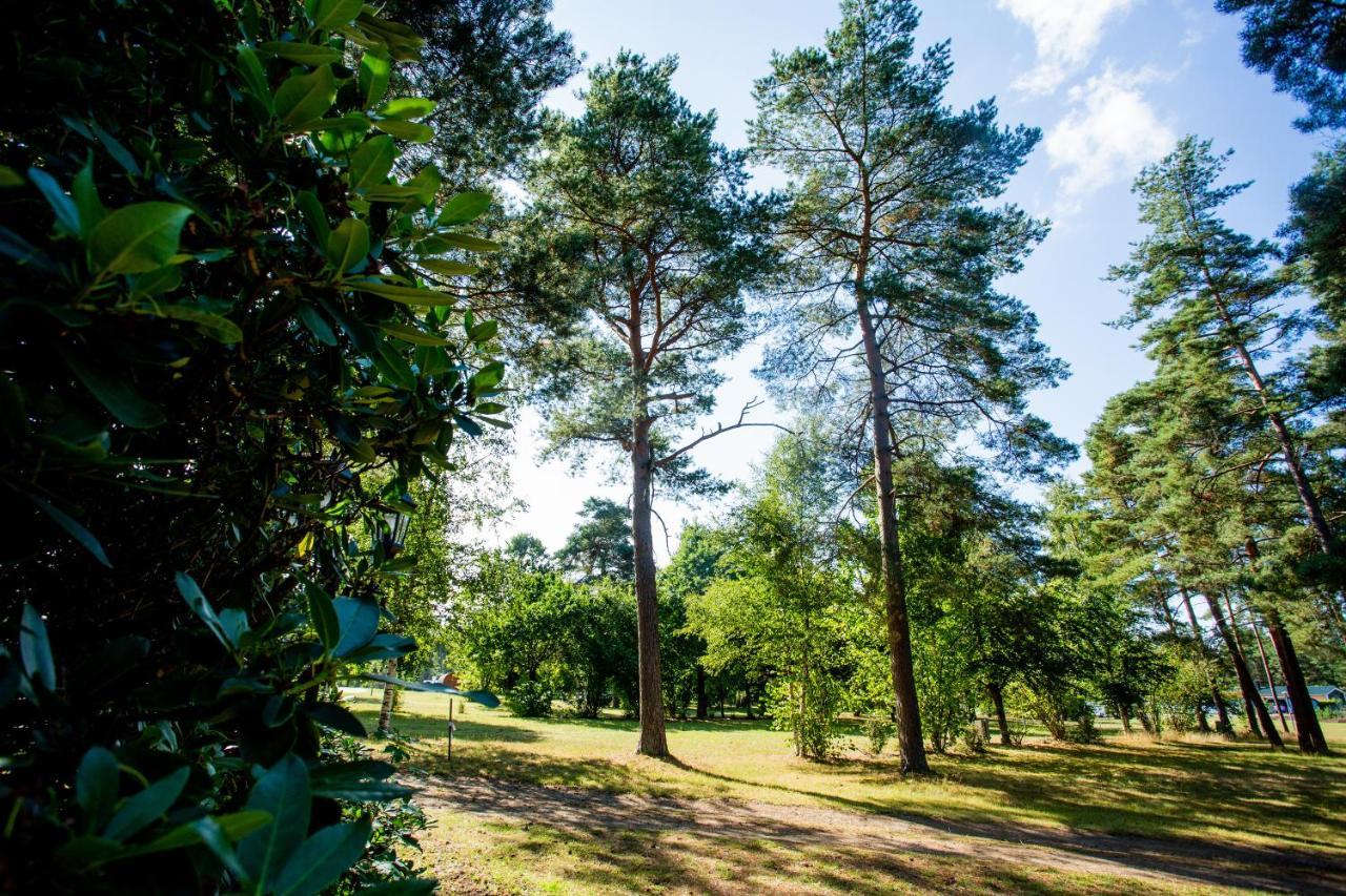 Naturcamping Lueneburger Heide - Chalets & Tiny Haeuser Soltau Zewnętrze zdjęcie